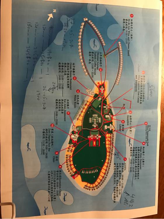 阿雅达AYADA